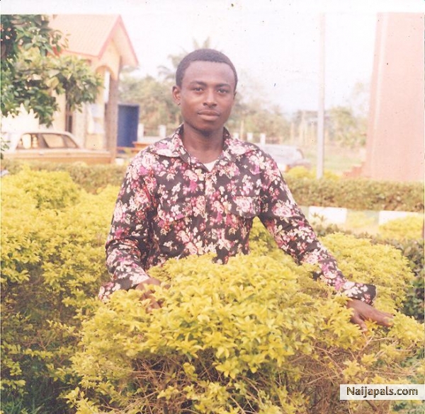  - click for next photo