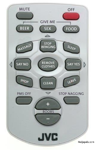 MY REMOTE - click for next photo