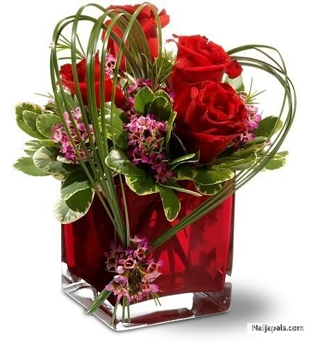  - click for next photo