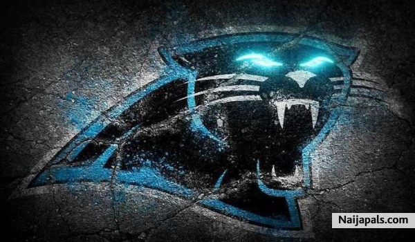 Carolina Panthers - click for next photo