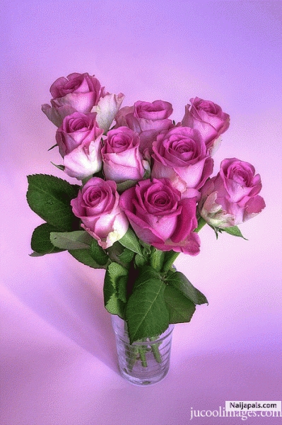 gif - click for next photo