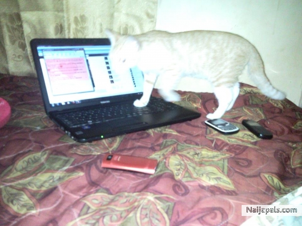  - click for next photo