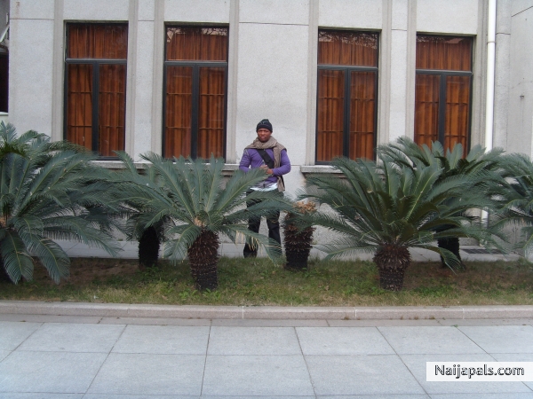  - click for next photo