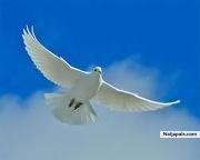 Any how,Any where if u believe u ar bond 2 make it.Let dem say.... - click for next photo