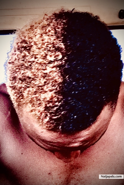 Upcoming vibe title VIBRATION - click for next photo