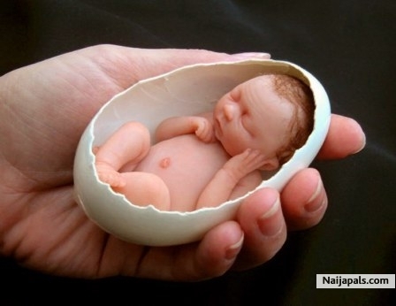 Amazing Baby! - click for next photo