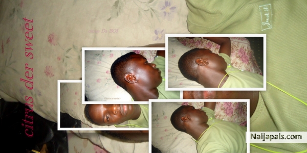 - click for next photo