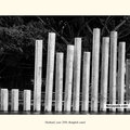 muse - click for next photo