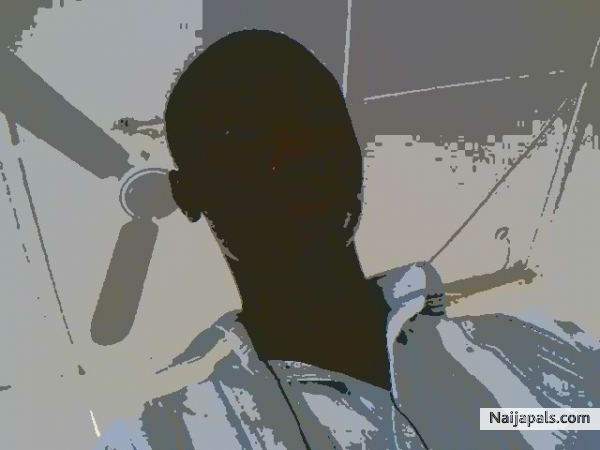 XOD MOG - click for next photo