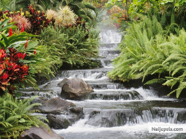 The falls of water runs smoothly and very far from the source. - click for next photo