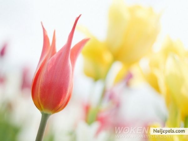 so well - click for next photo