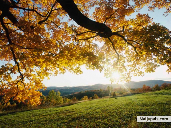autumn - click for next photo
