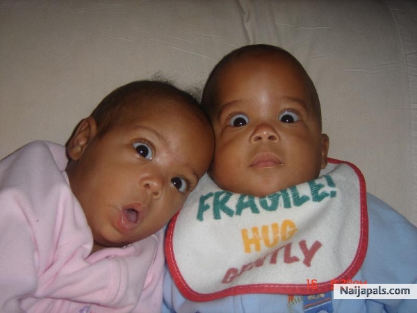 THE TWINS - click for next photo