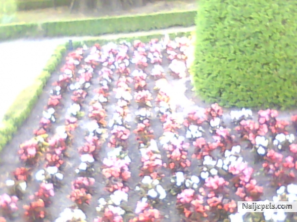 - click for next photo