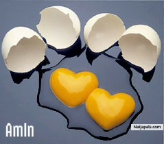 eggy - click for next photo