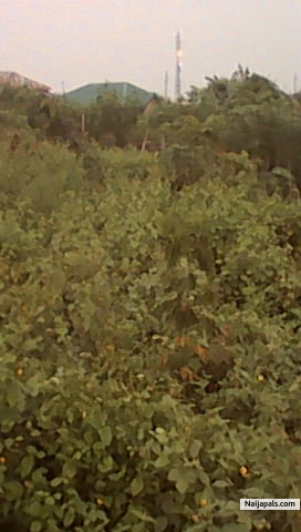 LAND FOR SELL - click for next photo