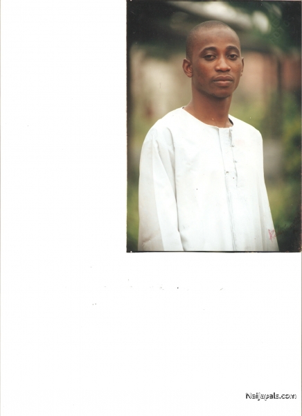 gentle bobo - click for next photo