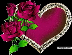 rose love - click for next photo