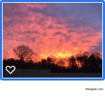 this morning - click for next photo