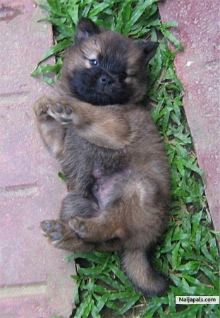 my cutey cutey - click for next photo
