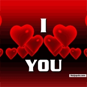 Pure Heart - click for next photo