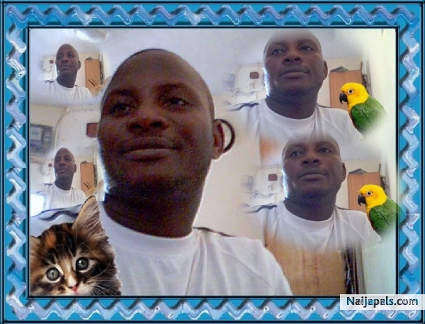 http://www.naijapals.com/?L=registration.confirm&id=238780&code=2c89255c451c6e7c3cf635d27f7d0930 - click for next photo