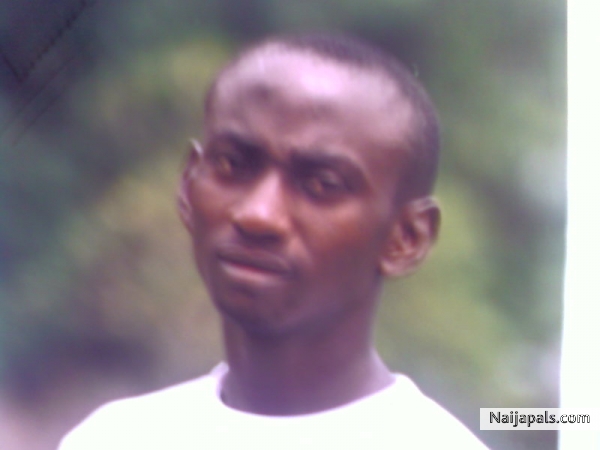 see this guy oooooooooo - click for next photo