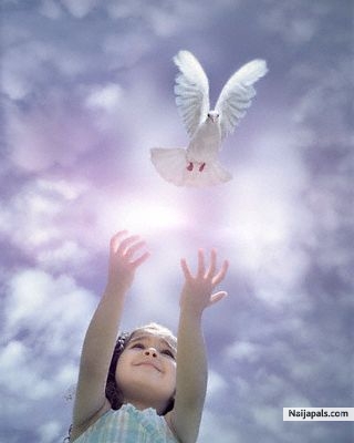 PEACE - click for next photo