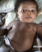 Lyk papa lyk son - click for next photo