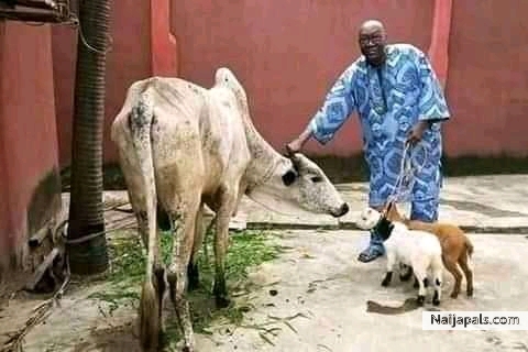 https://baba-apena.tumblr.com/post/637778868497956864/ifa-is-the-way-of-life-from-horlar-richie-son-of *BABA APENA* is a native doctor and he deal with many spiritual problems And his ready to help people in any problem....👂👂 *𝑺𝒖𝒄𝒄𝒆𝒔𝒔𝒇𝒖𝒍 𝒑𝒆𝒐𝒑𝒍𝒆 𝒂𝒍𝒘𝒂𝒚𝒔 𝒕𝒂𝒌𝒆 𝒂𝒅𝒗𝒂𝒏𝒕𝒂𝒈𝒆 𝒐𝒇 𝒐𝒑𝒑𝒐𝒓𝒕𝒖𝒏𝒊𝒕𝒚 𝒕𝒐 𝒕𝒉𝒆𝒊𝒓  - click for next photo
