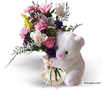  - click for next photo