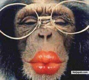 baed monkey - click for next photo