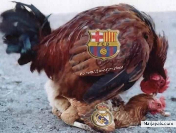 FUCK MADRID - click for next photo