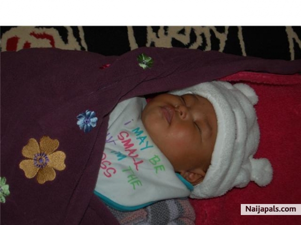  - click for next photo