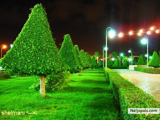  - click for next photo