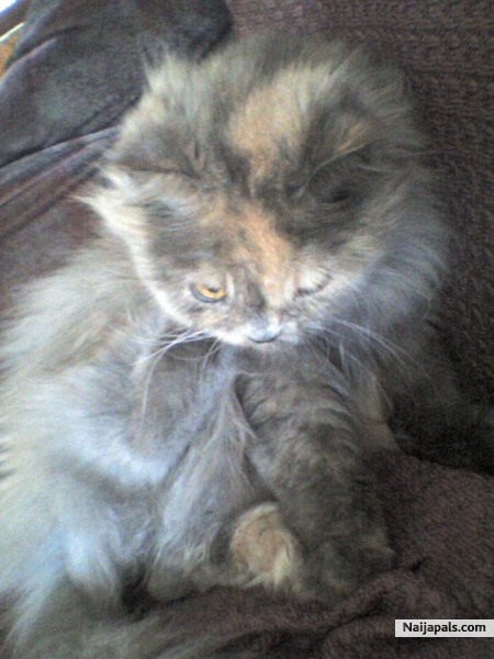 luv heeerrrrr - click for next photo