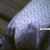 holl@ - click for next photo