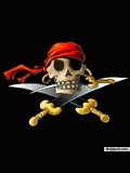 pirate - click for next photo