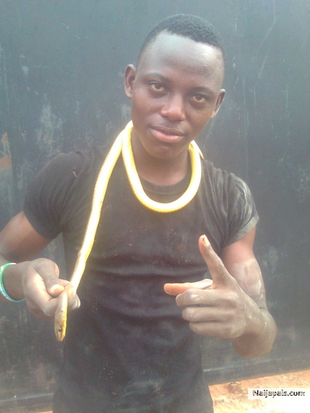  - click for next photo