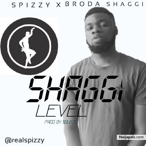 Shaggi level