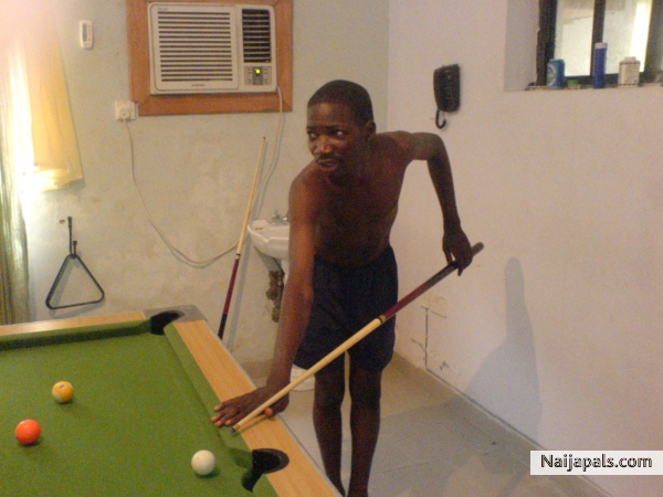 Ibro My Guy - click for next photo