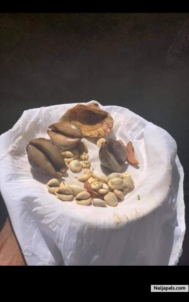 https://baba-apena.tumblr.com/post/637778868497956864/ifa-is-the-way-of-life-from-horlar-richie-son-of *BABA APENA* is a native doctor and he deal with many spiritual problems And his ready to help people in any problem....👂👂 *𝑺𝒖𝒄𝒄𝒆𝒔𝒔𝒇𝒖𝒍 𝒑𝒆𝒐𝒑𝒍𝒆 𝒂𝒍𝒘𝒂𝒚𝒔 𝒕𝒂𝒌𝒆 𝒂𝒅𝒗𝒂𝒏𝒕𝒂𝒈𝒆 𝒐𝒇 𝒐𝒑𝒑𝒐𝒓𝒕𝒖𝒏𝒊𝒕𝒚 𝒕𝒐 𝒕𝒉𝒆𝒊𝒓  - click for next photo