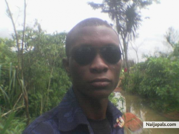 hi - click for next photo