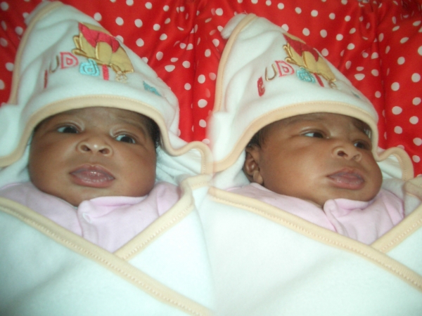 baby bola - click for next photo