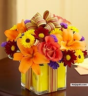  - click for next photo