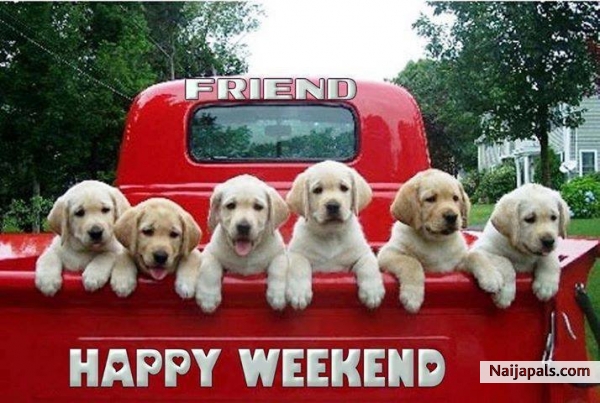 Have fun guys!Enjoy your weekend but remember not to DRINK and drive - click for next photo