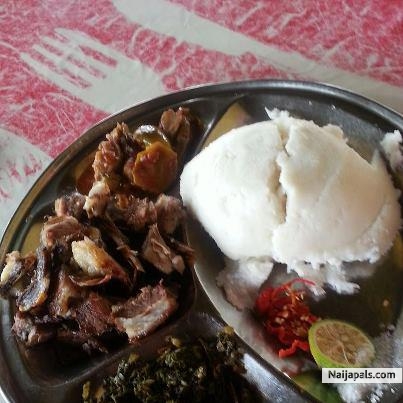 my meal today - click for next photo