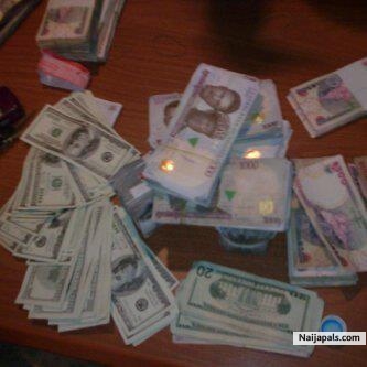 Gat much for the summer...Gatta chill well - click for next photo