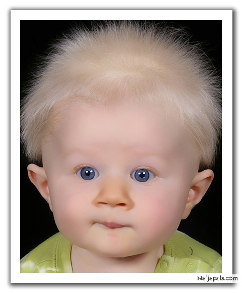 handsome guy - click for next photo