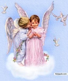 Lovely boy - click for next photo